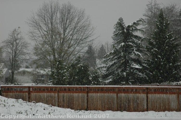 This is Robert from sales, he can help explain our product in a concise video format.